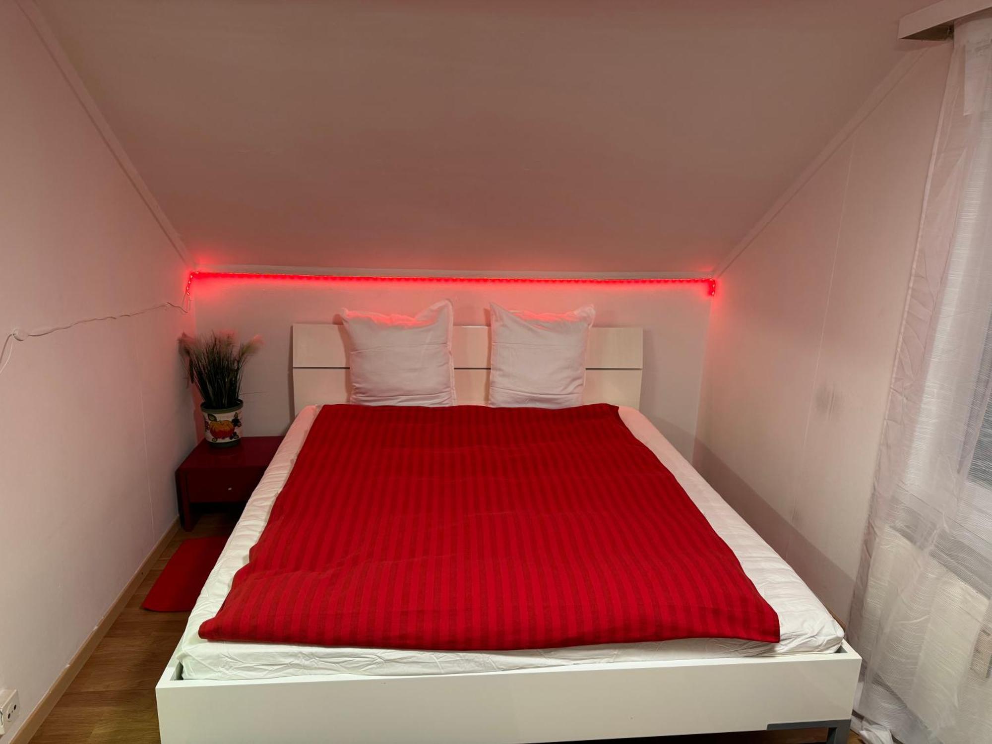 Nice Apartment Saint-Gall Extérieur photo